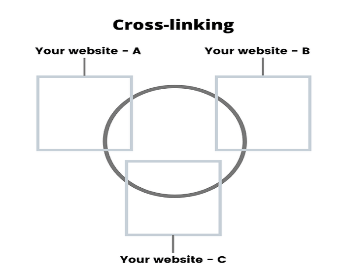 Sử dụng Cross Link mang lại hiệu quả cao