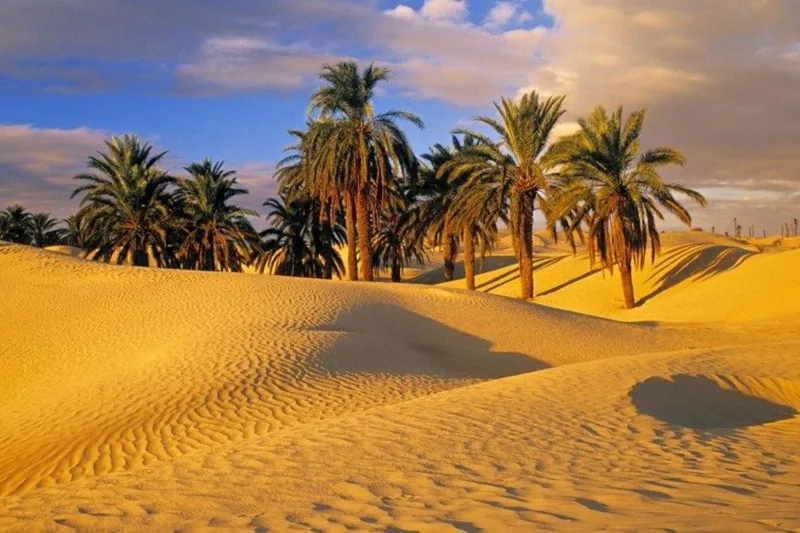 sa mac sahara o dau